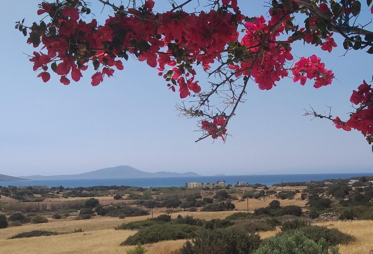 Haus Asterakia Leilighet Aliko Beach Eksteriør bilde