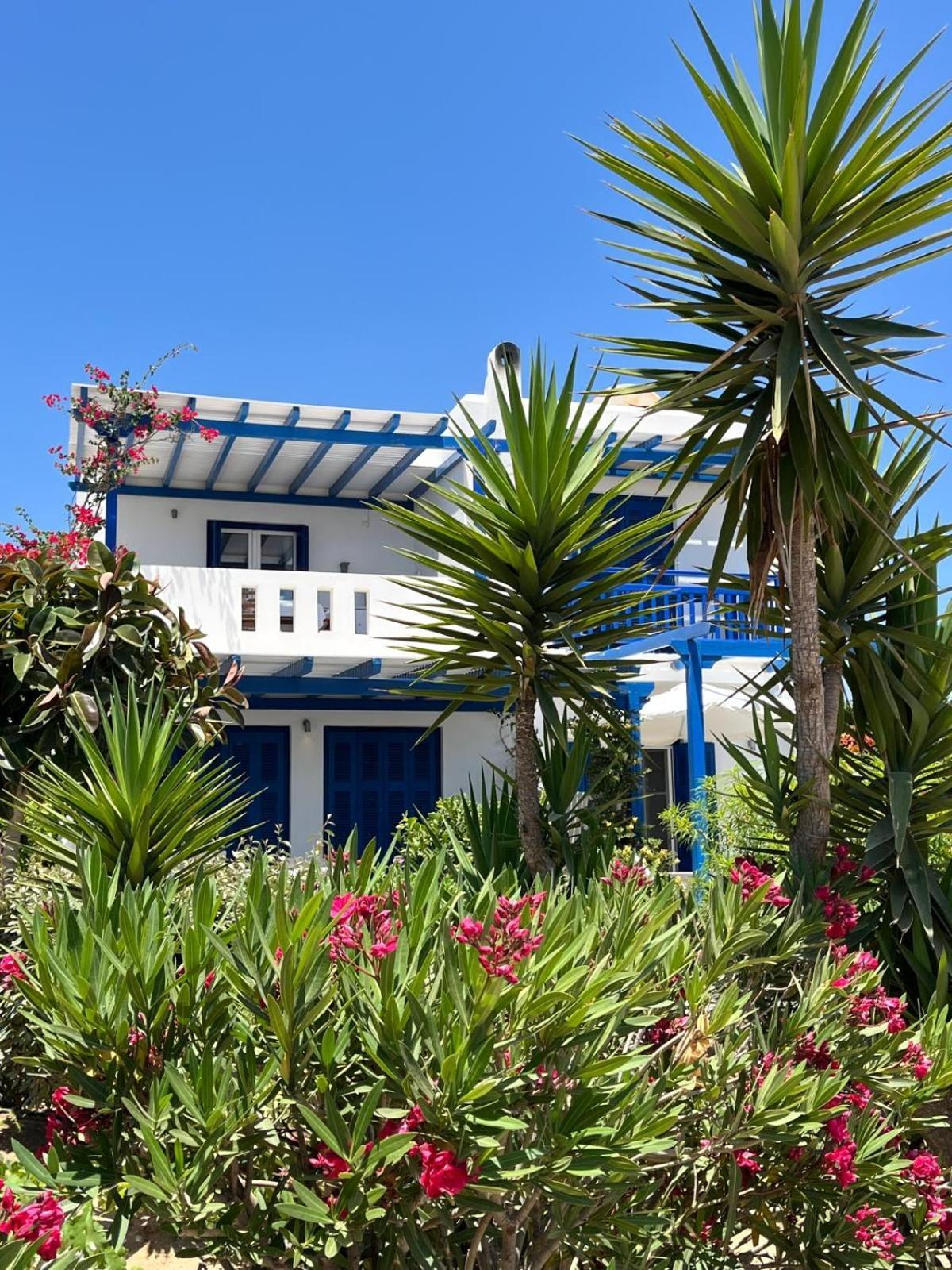 Haus Asterakia Leilighet Aliko Beach Eksteriør bilde