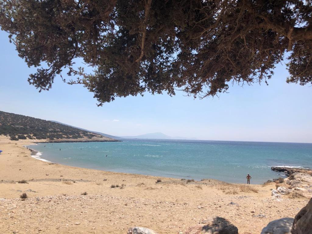 Haus Asterakia Leilighet Aliko Beach Eksteriør bilde