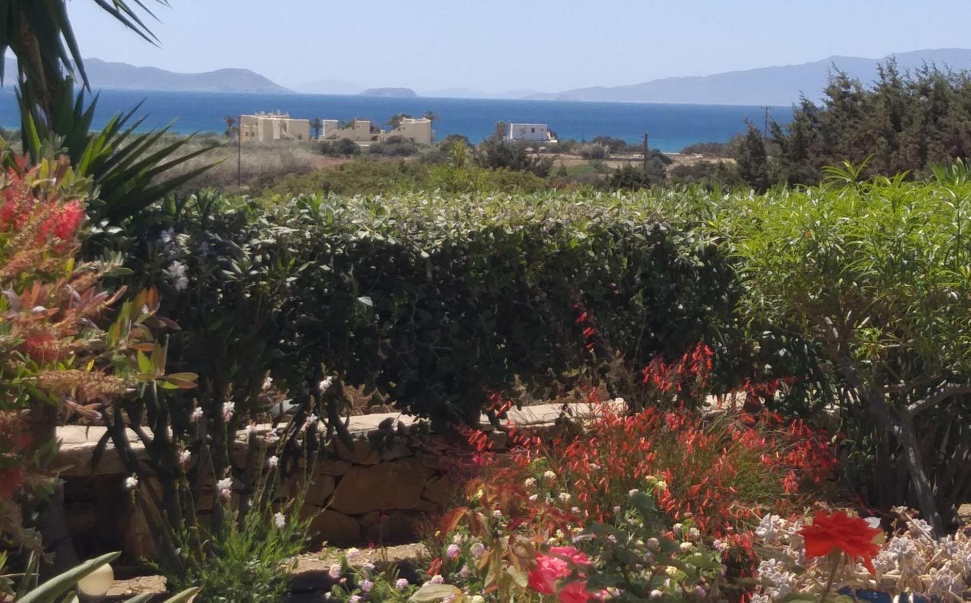 Haus Asterakia Leilighet Aliko Beach Eksteriør bilde