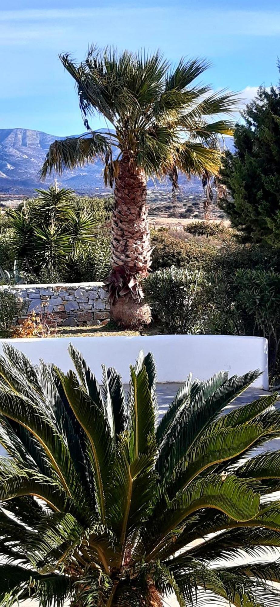 Haus Asterakia Leilighet Aliko Beach Eksteriør bilde
